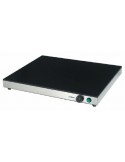 PLACA CALIENTE DE SOBREMESA MOD PC5050