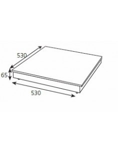 PLACA CALIENTE ENCASTRABLE DE SOBREMESA MOD PC5050E