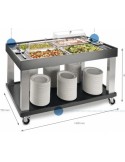 CARRO BUFFET MESA PRESENTACIÓN, CAPACIDAD 4 CUBETAS GN 1/1 MOD P90490