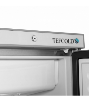 MANTENEDOR DE CONGELADOS INOX TEFCOLD A600XF585XA855MM  UF200S