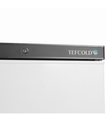 MANTENEDOR DE CONGELADOS BLANCO TEFCOLD A600XF585XA1855MM  UF400