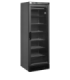 EXPOSITOR REFRIGERADO CONGELADOS ESTÁTICO 300 LITROS 595 X 640 X 1840H MM CH UFSC371G BLACK